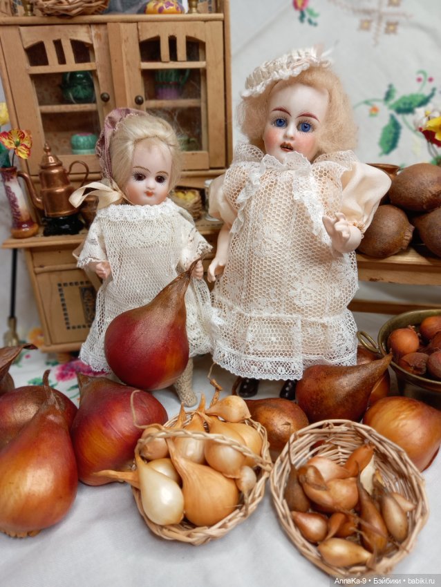 Гюльденштедтия фон Монфилла и луковицы тюльпанов (фото 5)