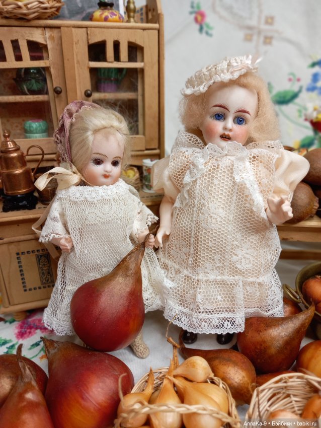 Гюльденштедтия фон Монфилла и луковицы тюльпанов (фото 6)