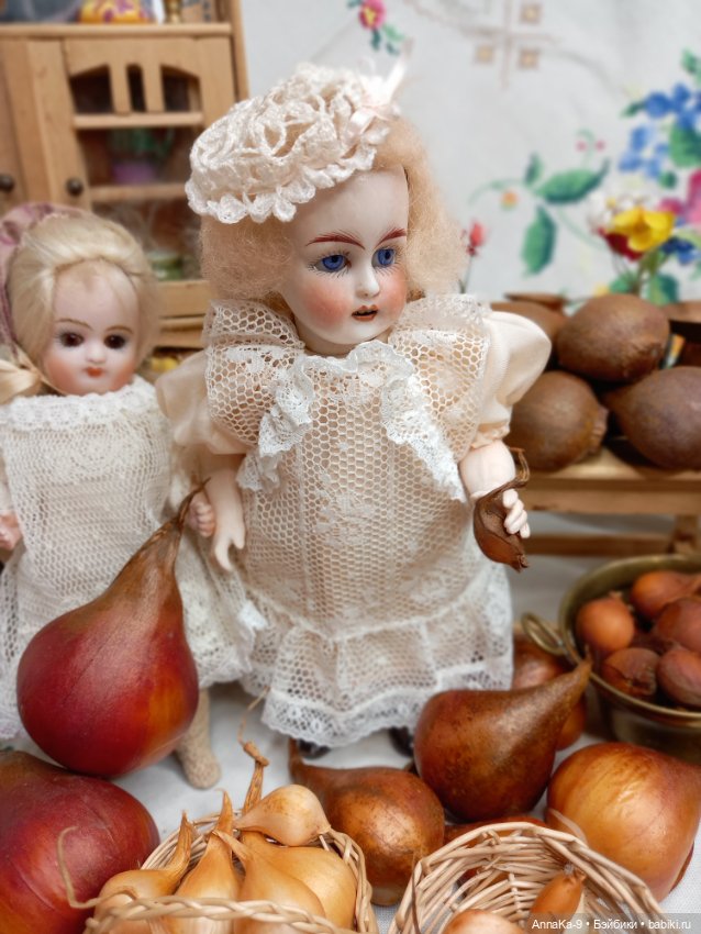 Гюльденштедтия фон Монфилла и луковицы тюльпанов