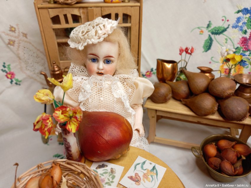 Гюльденштедтия фон Монфилла и луковицы тюльпанов (фото 9)