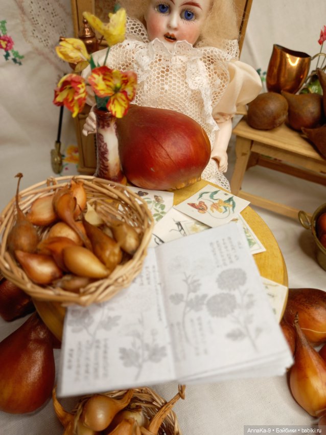 Гюльденштедтия фон Монфилла и луковицы тюльпанов (фото 10)