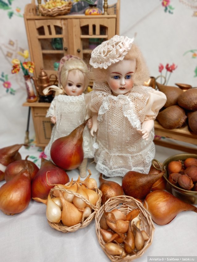 Гюльденштедтия фон Монфилла и луковицы тюльпанов (фото 4)