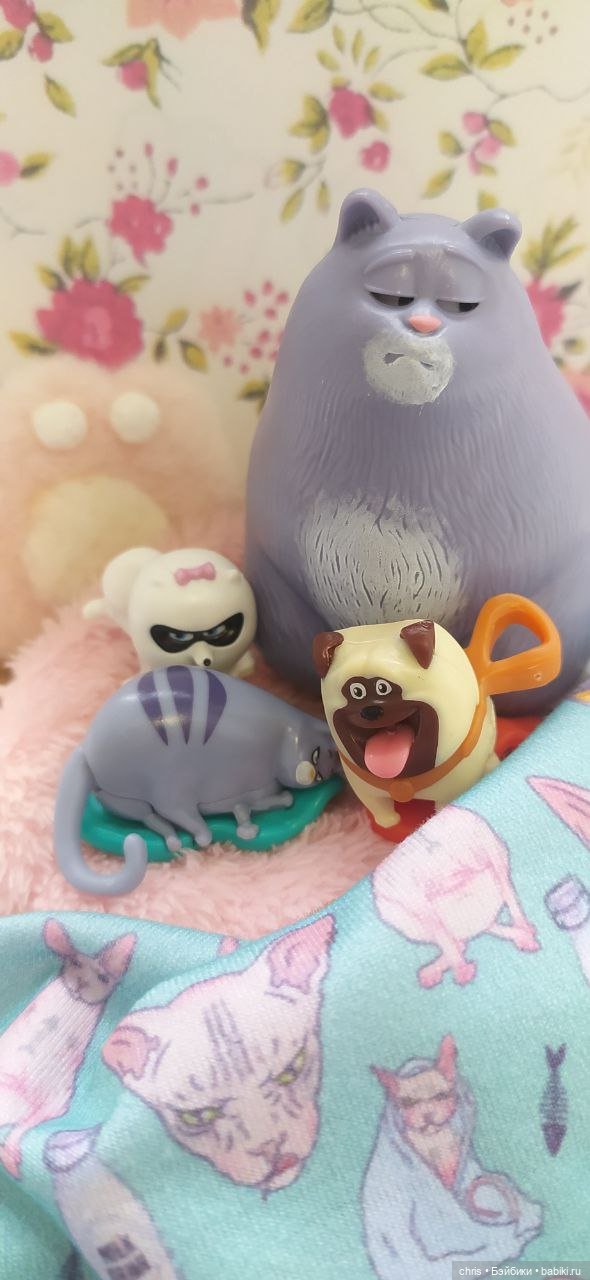 Две грации (Кошечка Хлоя и др. - Тайная жизнь домашних животных) (фото 9)