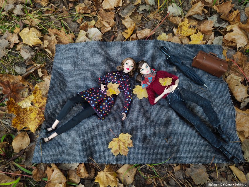 3 октября- День посмотри на листья (фото 6)