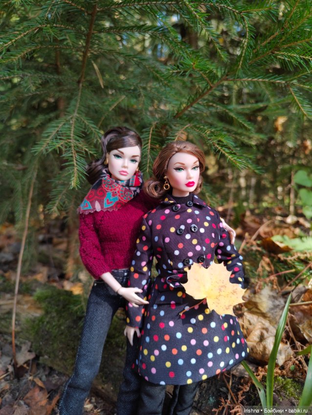 3 октября- День посмотри на листья