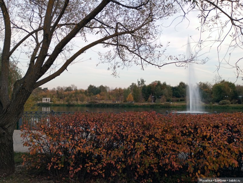 Гимн красоте осени + новенькая