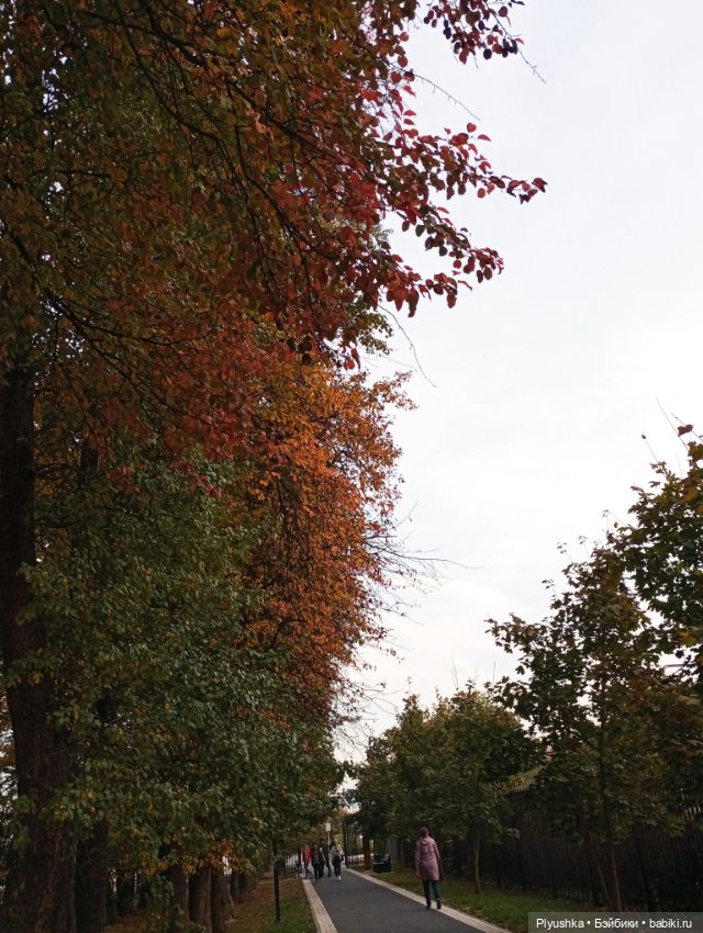 Гимн красоте осени + новенькая (фото 9)