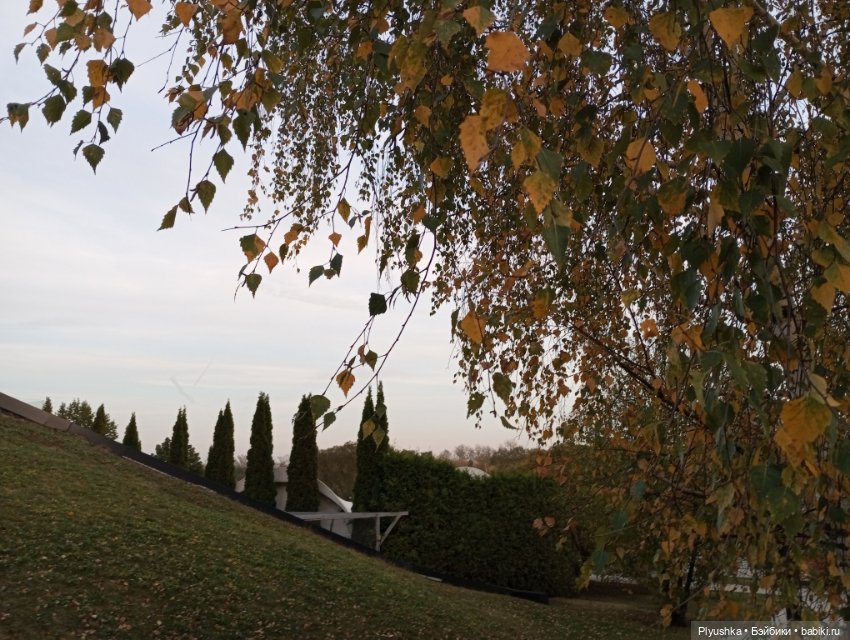 Гимн красоте осени + новенькая