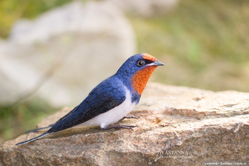 Ласточка — Валяные игрушки из шерсти: сухое валяние