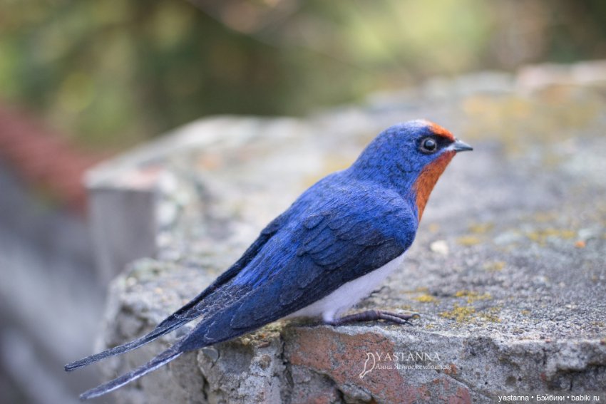 Ласточка — Валяные игрушки из шерсти: сухое валяние