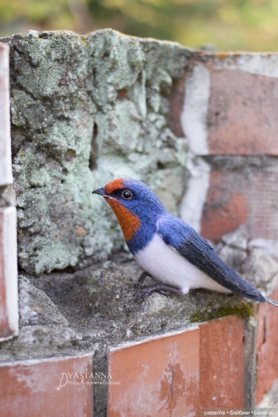 Ласточка — Валяные игрушки из шерсти: сухое валяние (фото 10)