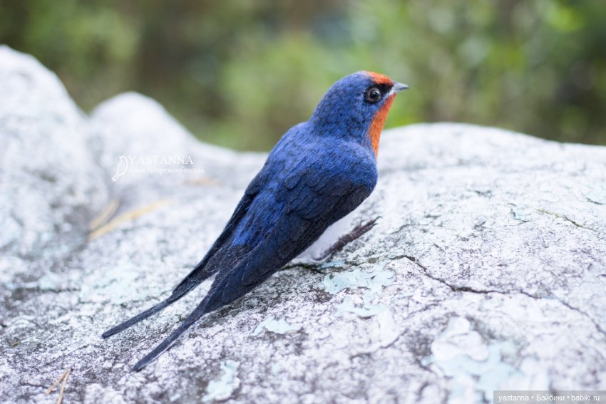 Ласточка — Валяные игрушки из шерсти: сухое валяние (фото 5)