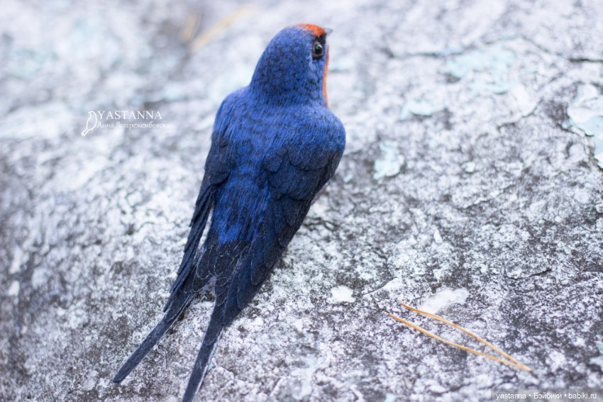 Ласточка — Валяные игрушки из шерсти: сухое валяние (фото 6)