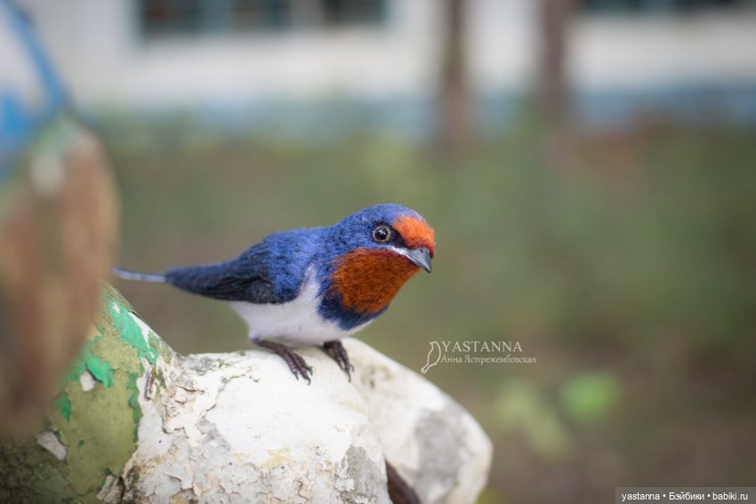 Ласточка — Валяные игрушки из шерсти: сухое валяние