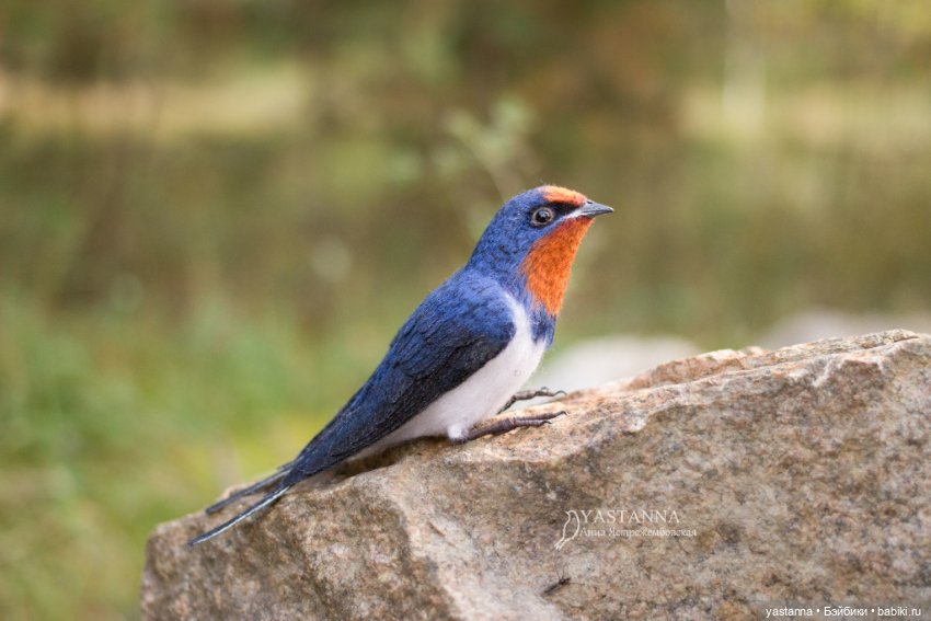 Ласточка — Валяные игрушки из шерсти: сухое валяние (фото 2)