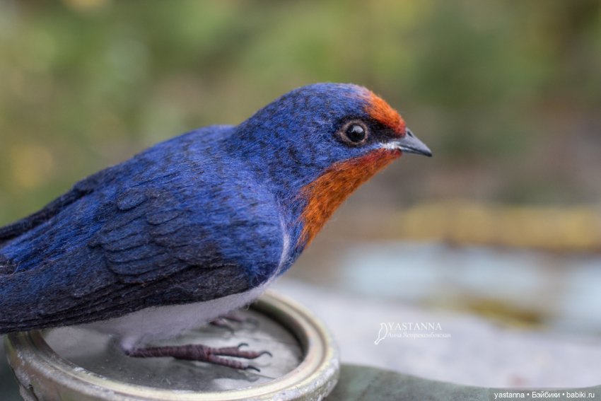 Ласточка — Валяные игрушки из шерсти: сухое валяние