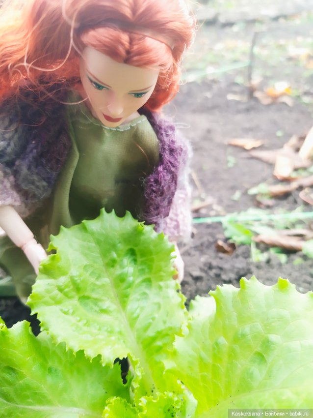 Время айвы и спелых яблок (фото 6)