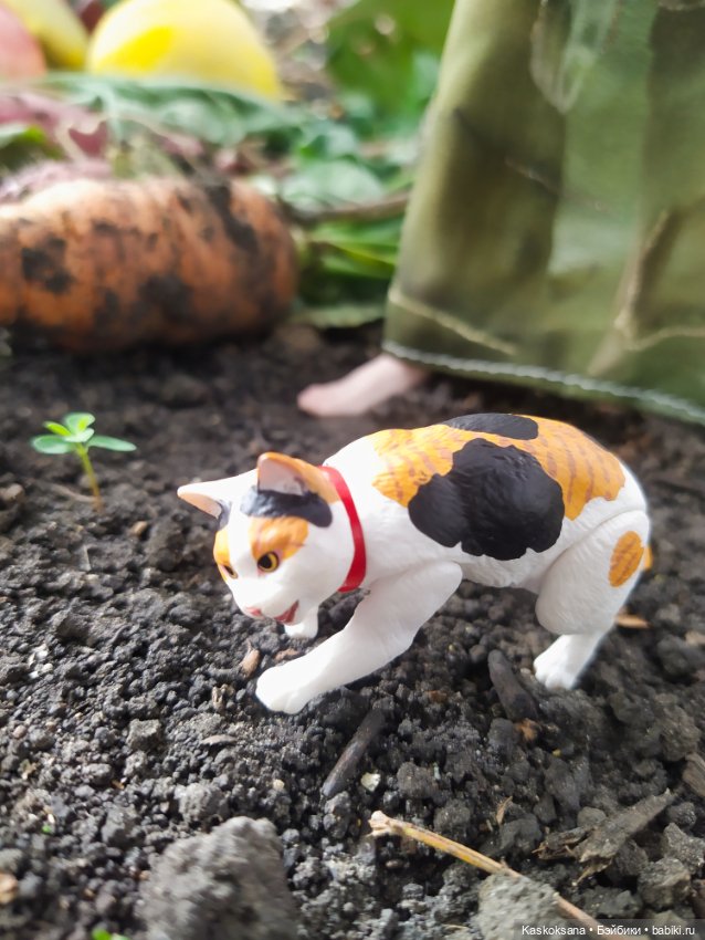 Время айвы и спелых яблок (фото 3)