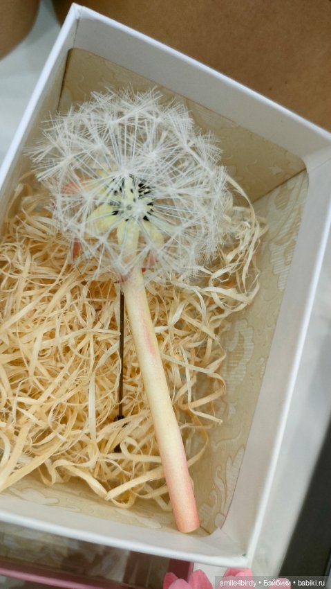 Осенний бал кукол на Тишинке 2024. Часть 2