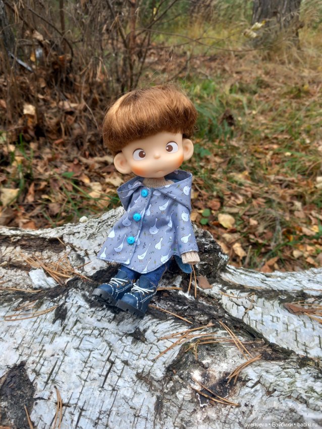 Осень, осень... Ну давай у листьев спросим (фото 4)