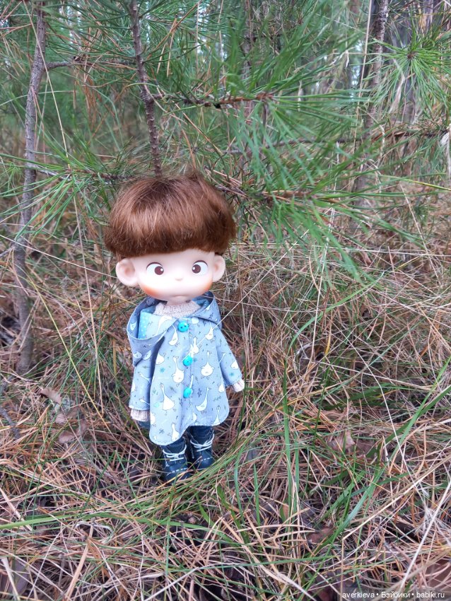 Осень, осень... Ну давай у листьев спросим (фото 3)