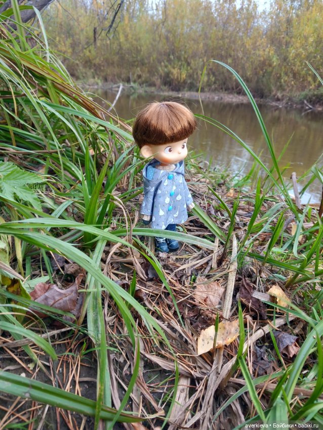 Осень, осень... Ну давай у листьев спросим (фото 7)