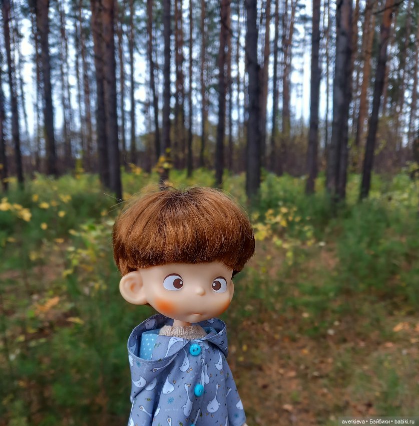 Осень, осень... Ну давай у листьев спросим (фото 2)