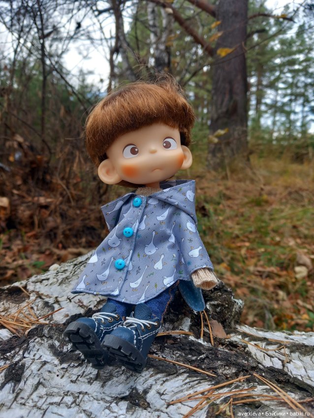 Осень, осень... Ну давай у листьев спросим (фото 5)