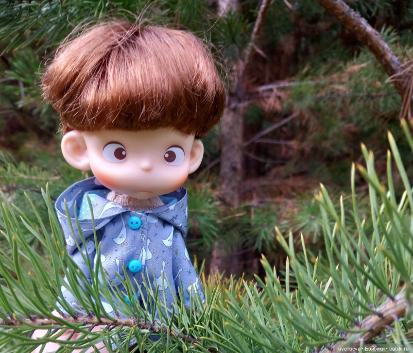 Осень, осень... Ну давай у листьев спросим