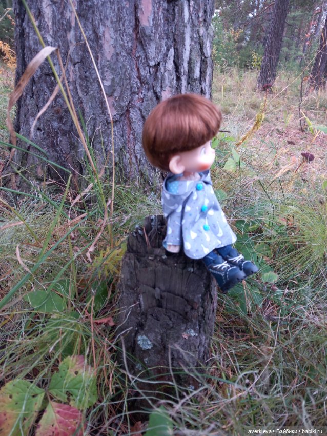 Осень, осень... Ну давай у листьев спросим (фото 8)