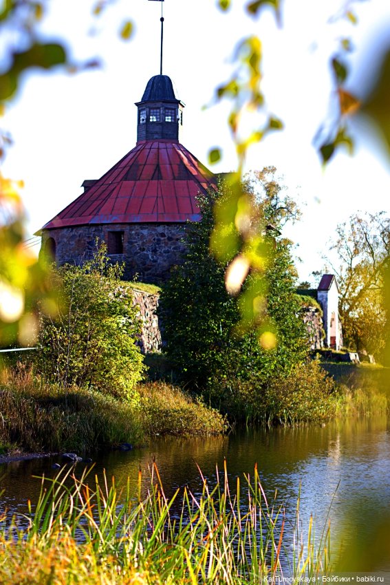 Лисья прогулка, листья и солнце октября (фото 7)