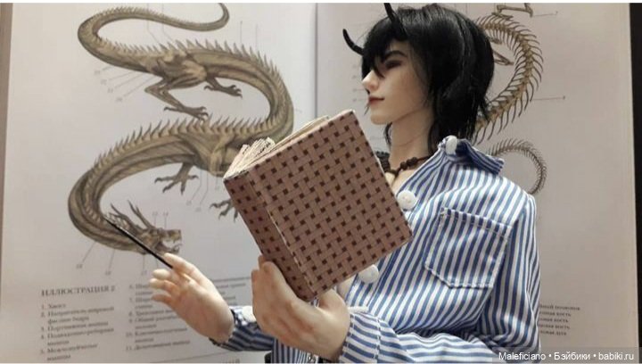 Лекция по драконам — Куклы Iplehouse (Иплхаус): BJD (БЖД) (фото 3)