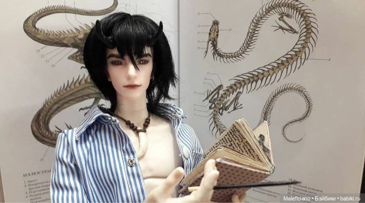 Лекция по драконам — Куклы Iplehouse (Иплхаус): BJD (БЖД) (фото 5)