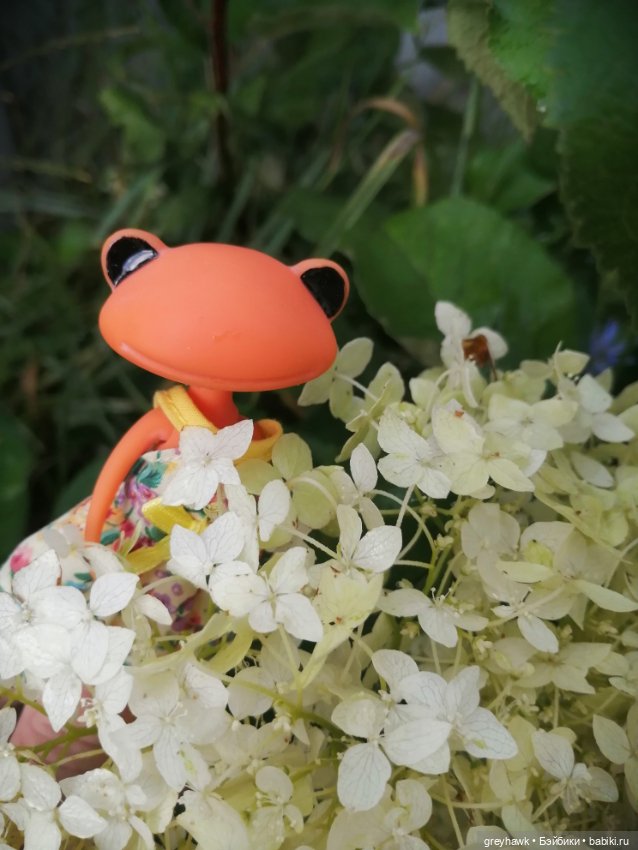 Лягушачьи ножки — Игровые куклы разных производителей (Разное): редкие бренды (фото 3)