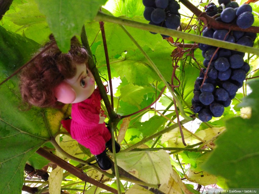 Про Нафочку. Прогулка в лесу (фото 4)