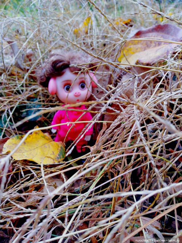 Про Нафочку. Прогулка в лесу