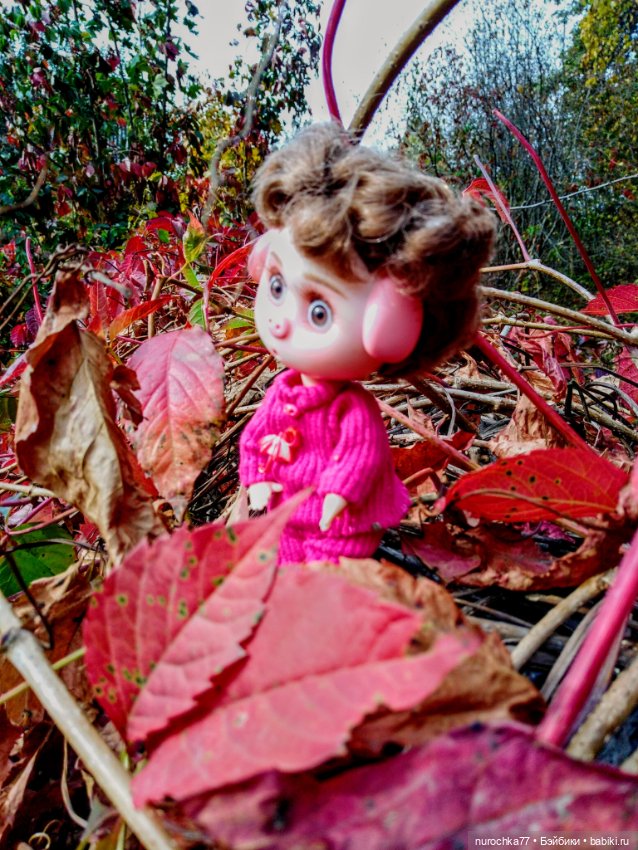 Про Нафочку. Прогулка в лесу