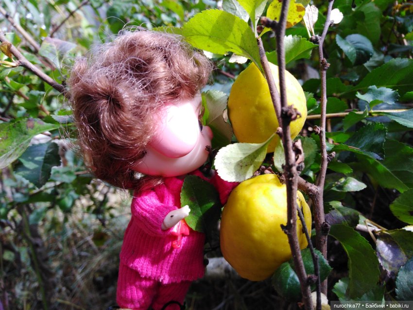 Про Нафочку. Прогулка в лесу (фото 7)