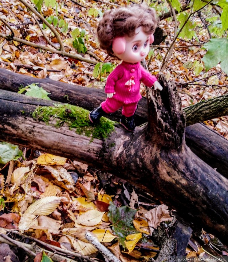 Про Нафочку. Прогулка в лесу