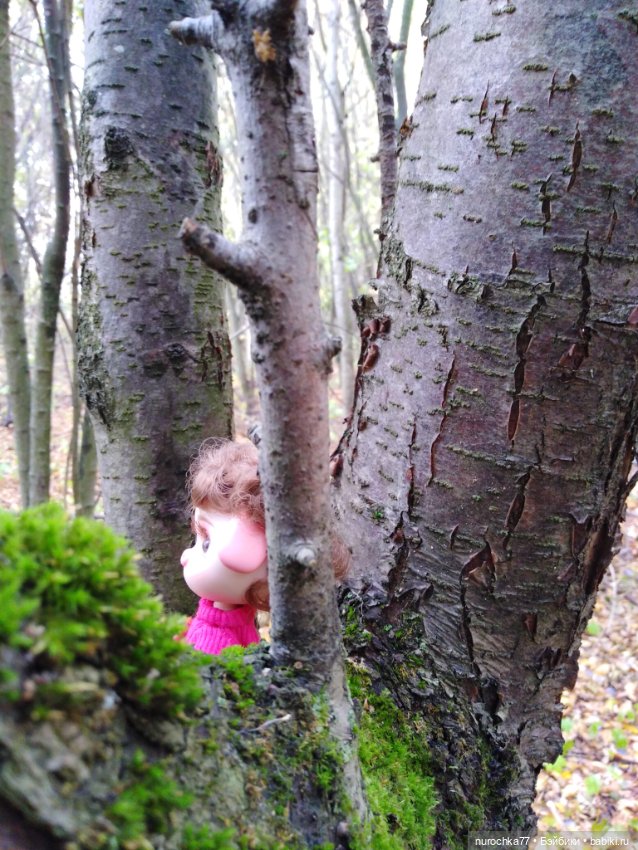 Про Нафочку. Прогулка в лесу
