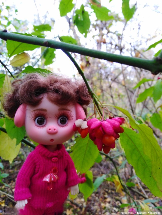 Про Нафочку. Прогулка в лесу