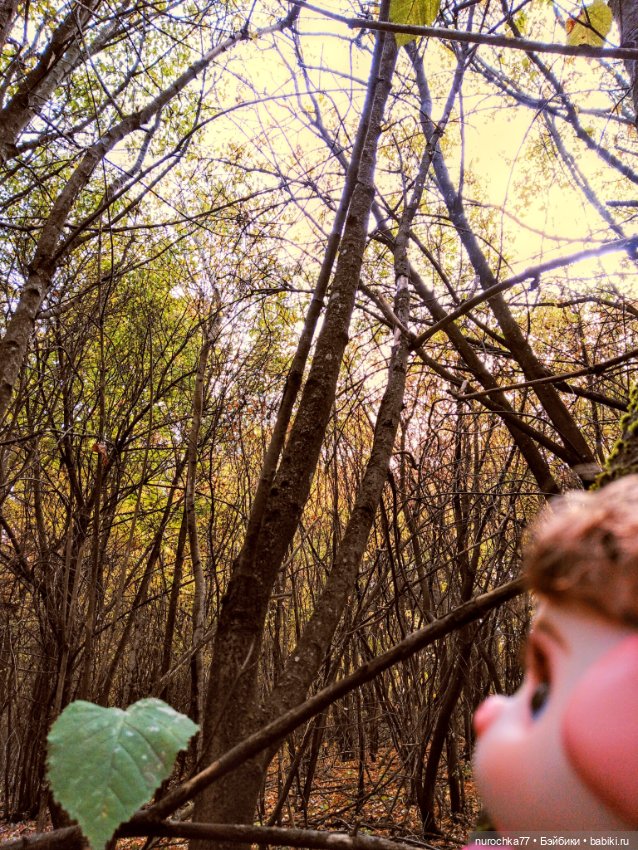 Про Нафочку. Прогулка в лесу