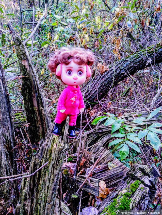 Про Нафочку. Прогулка в лесу