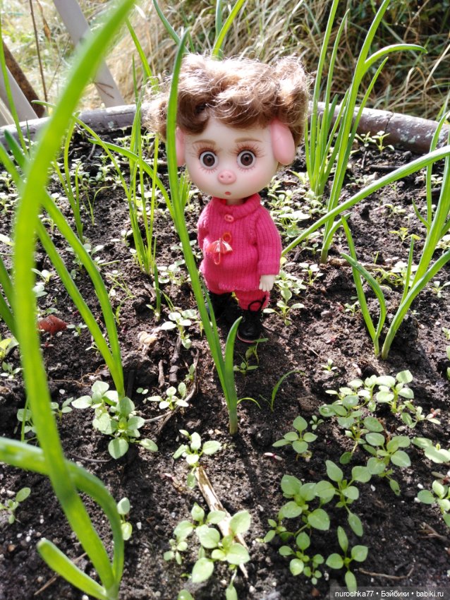 Про Нафочку. Прогулка в лесу (фото 6)