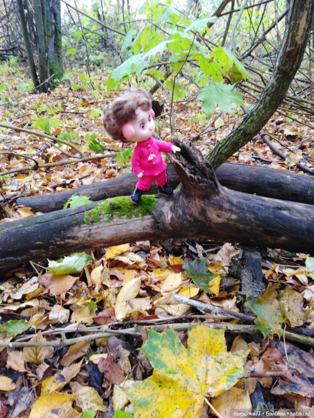 Про Нафочку. Прогулка в лесу