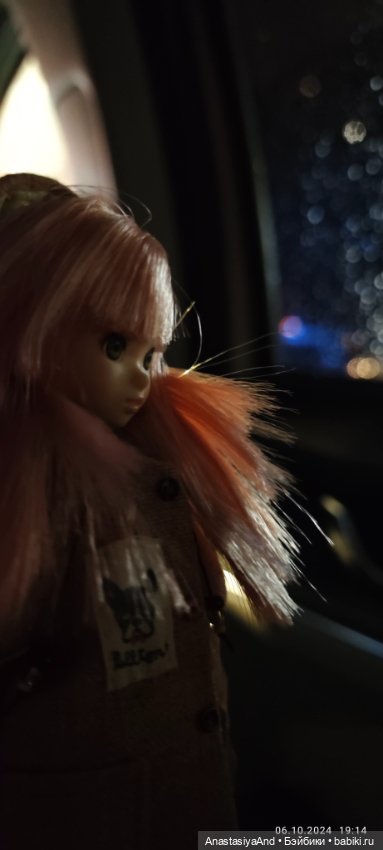 Что мы купили на Тишинке — Выставки кукол и мишек Тедди: фоторепортажи