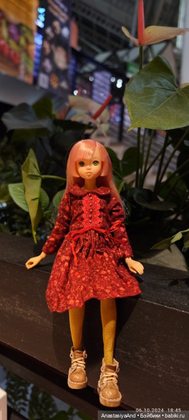 Что мы купили на Тишинке — Выставки кукол и мишек Тедди: фоторепортажи (фото 10)