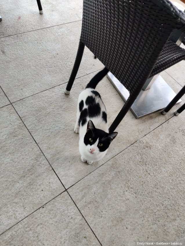 Турция, Бодрум (часть 1) — Туризм и путешествия: фотоотчеты из поездок