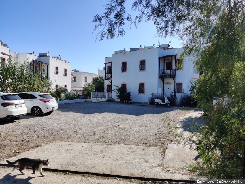 Турция, Бодрум (часть 2) — Туризм и путешествия: фотоотчеты из поездок