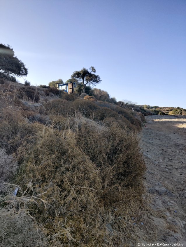 Турция, Бодрум (часть 1) — Туризм и путешествия: фотоотчеты из поездок